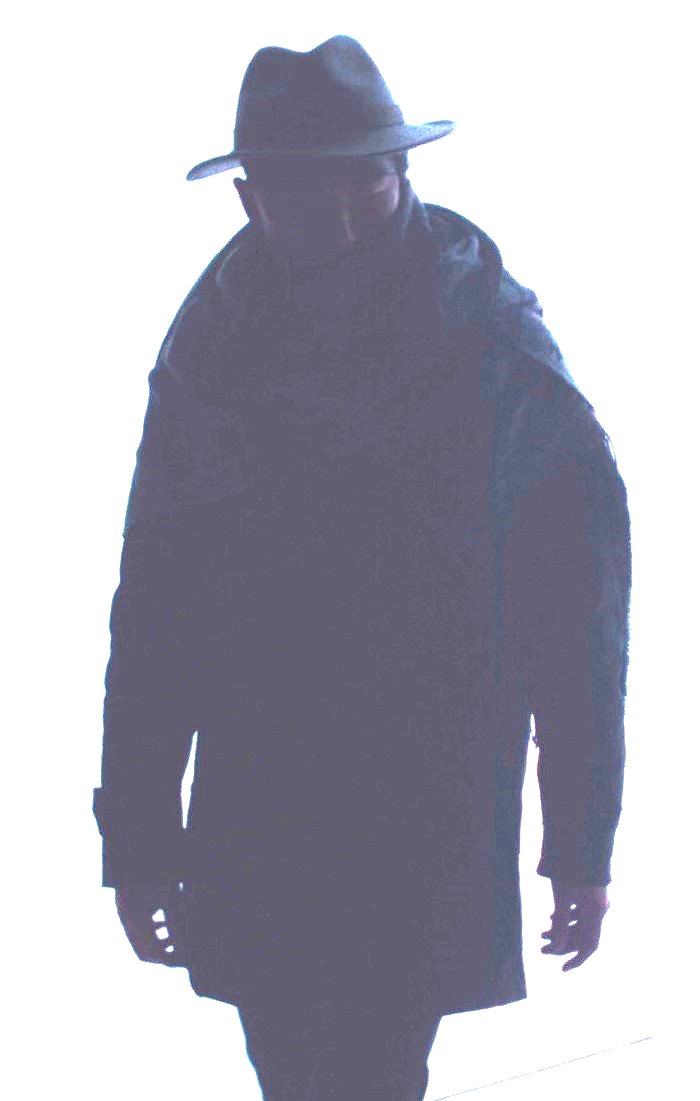 bfd54c9ac4f6f3c12d39e41bf71fae4418aabe12d25aa69468ad6f4bf7398332.image.jpeg