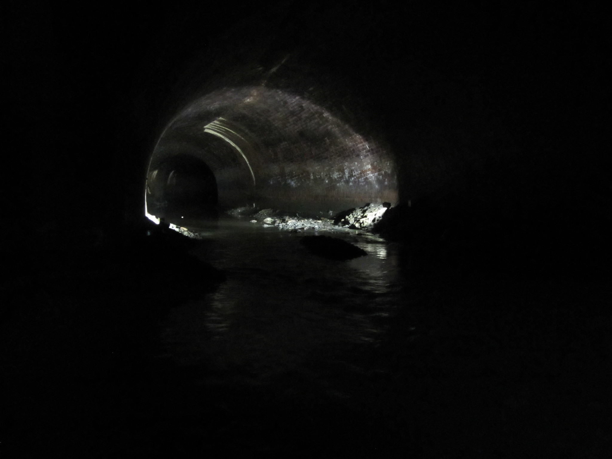 c01ba9afe98b7c5913638ddc51e58be2419bf2f19fd56451b35ea1075da9aa36.image.jpeg