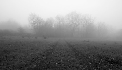 c20ee17e730d6ebe2ab2f0d0705557af9e5046481cfe5e7b708fad821507122b.image.jpeg