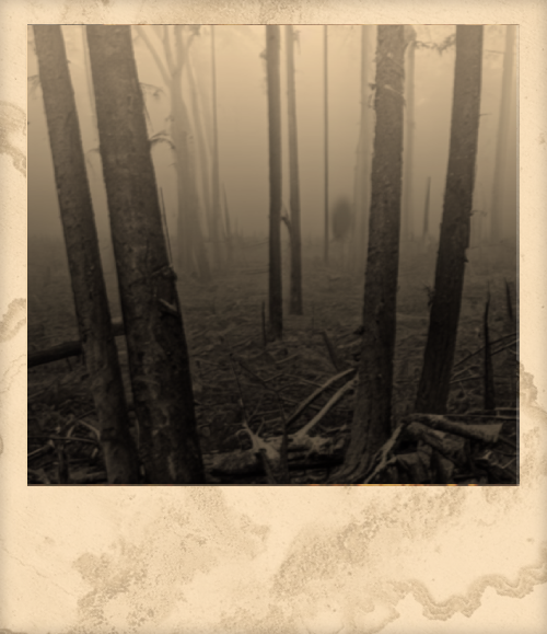 c2f3d4875830fa703c49b0fc08a070ba94a2a7426b476643eda70eec016a4d52.image.png