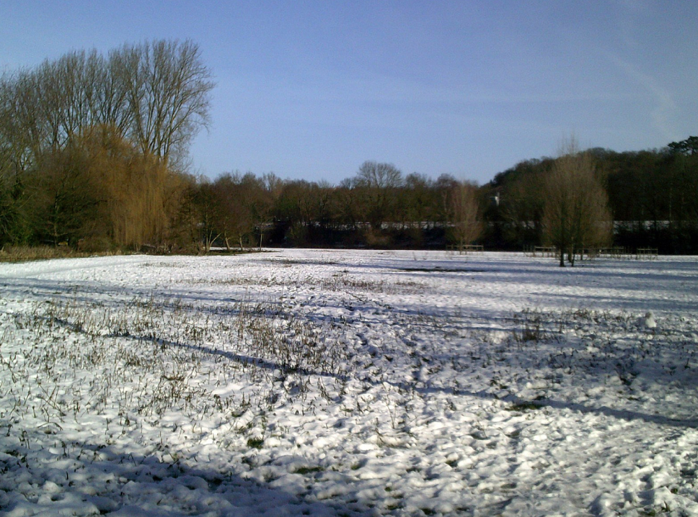 c3398fa86fac4f13a3b6b03577f6da8f7b636a99dc789f559ac9070ae8206356.image.jpeg