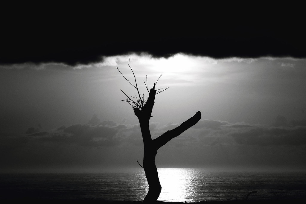 c44d6de72869d88fae9ae494fa288ca0560e417ef4e223c29b56febbdc52a2a3.image.png