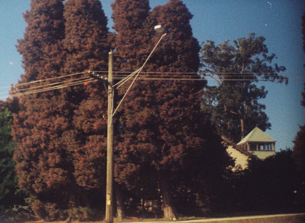 c501055440648dd71d7a2685e204283fb8351a4445dae36a3f985a0279555973.image.jpeg