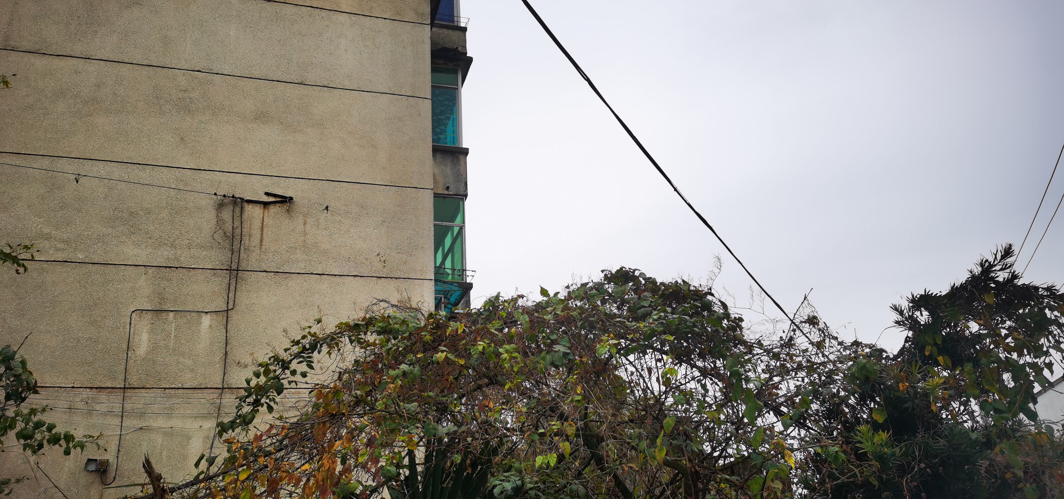 c5750415c29a7dc100c5d4f7f30d9363923a270aec34341e32d83b4ec71eb7b9.image.jpeg