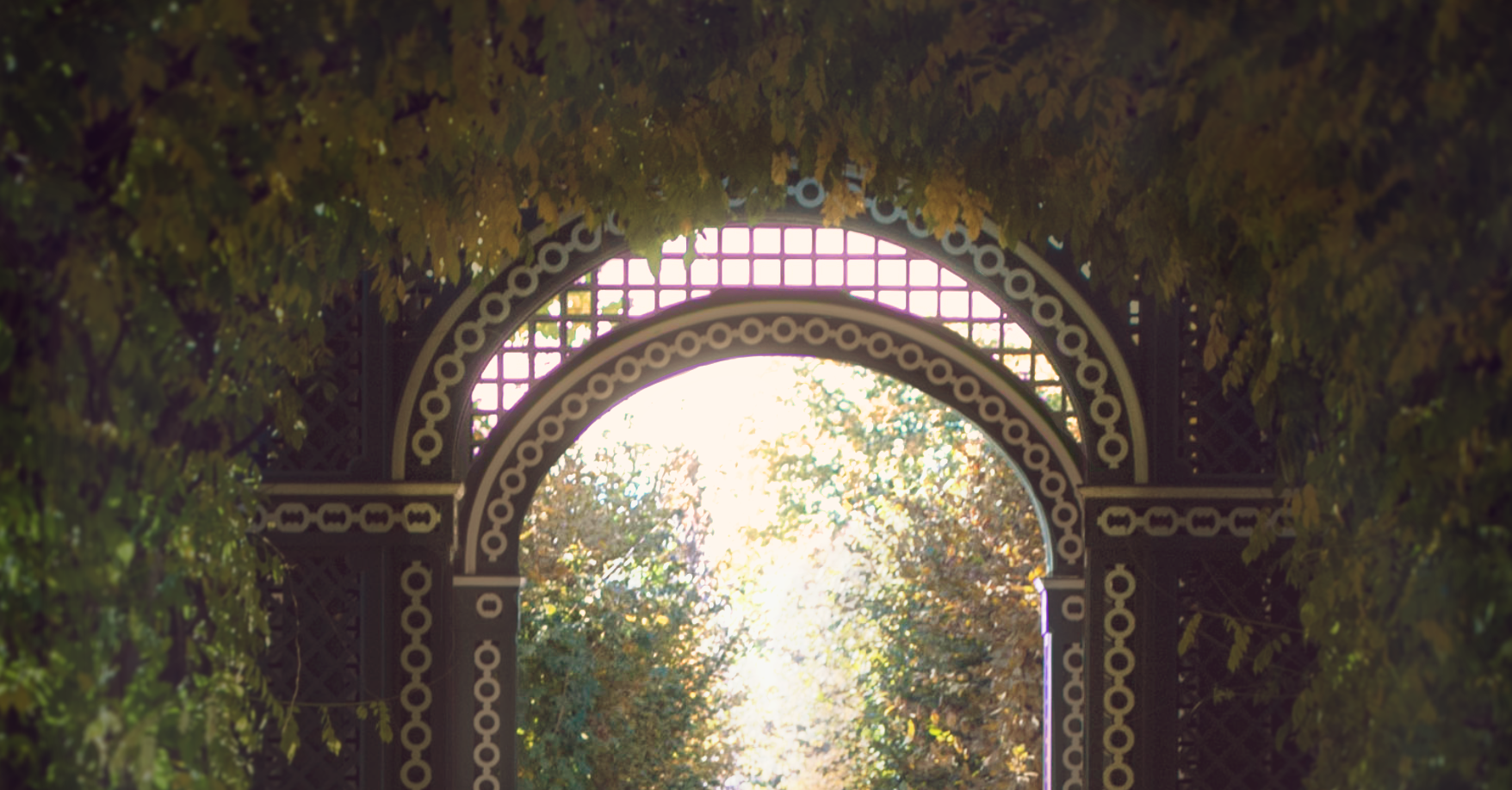 c8574a5a11ed66d38678d78b21c7bf08ec4963d69a012f81f85d26a762077b62.image.png