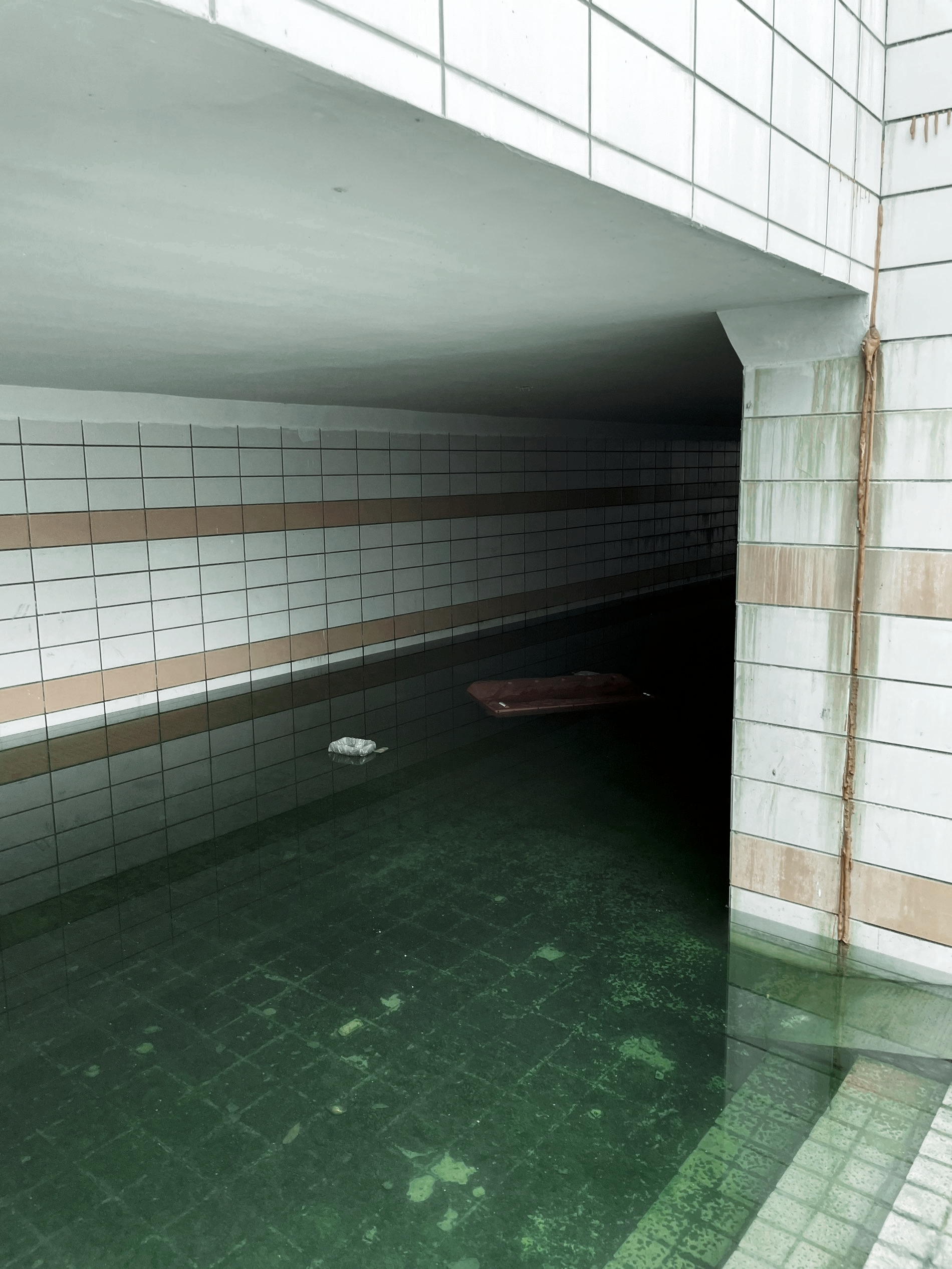 ce87b91ae00f528d23360a041147d35b1b29360783e6d3f193d2d1c7e9771c60.image.jpeg