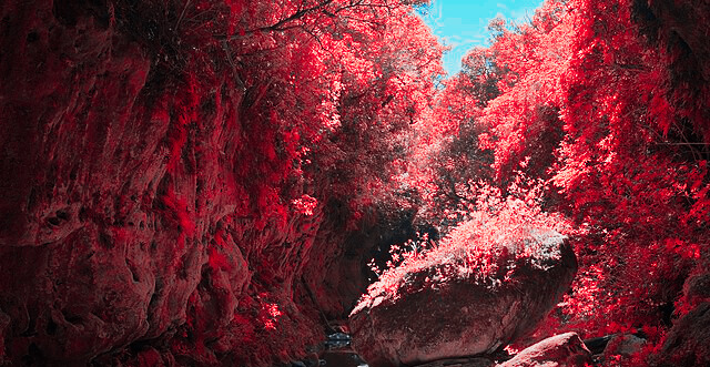 d0885567efceb4224d7454353f221638656c72317f7e6a700ba27d2be5c7fc1d.image.png