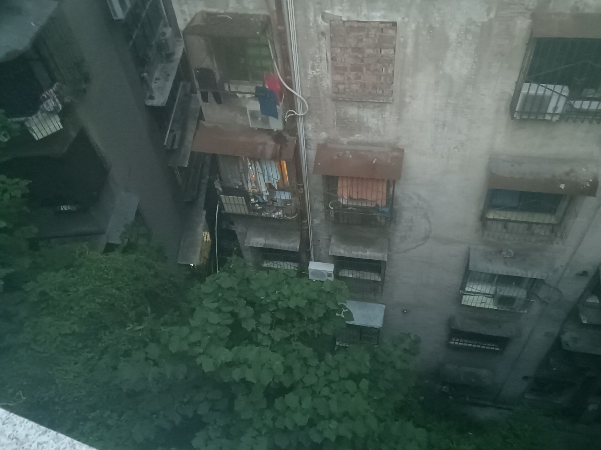 d16da5826cc7390cd23008e3108a65dfd91881d0763113c81e59327e5b1a04c5.image.jpeg