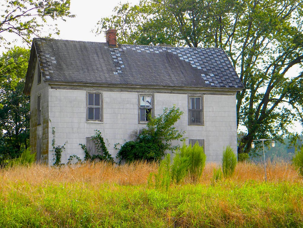 d77923a5befb426c2171c3b70ee5760b06322e8dfbb6066a226e92476f1699b8.image.jpeg