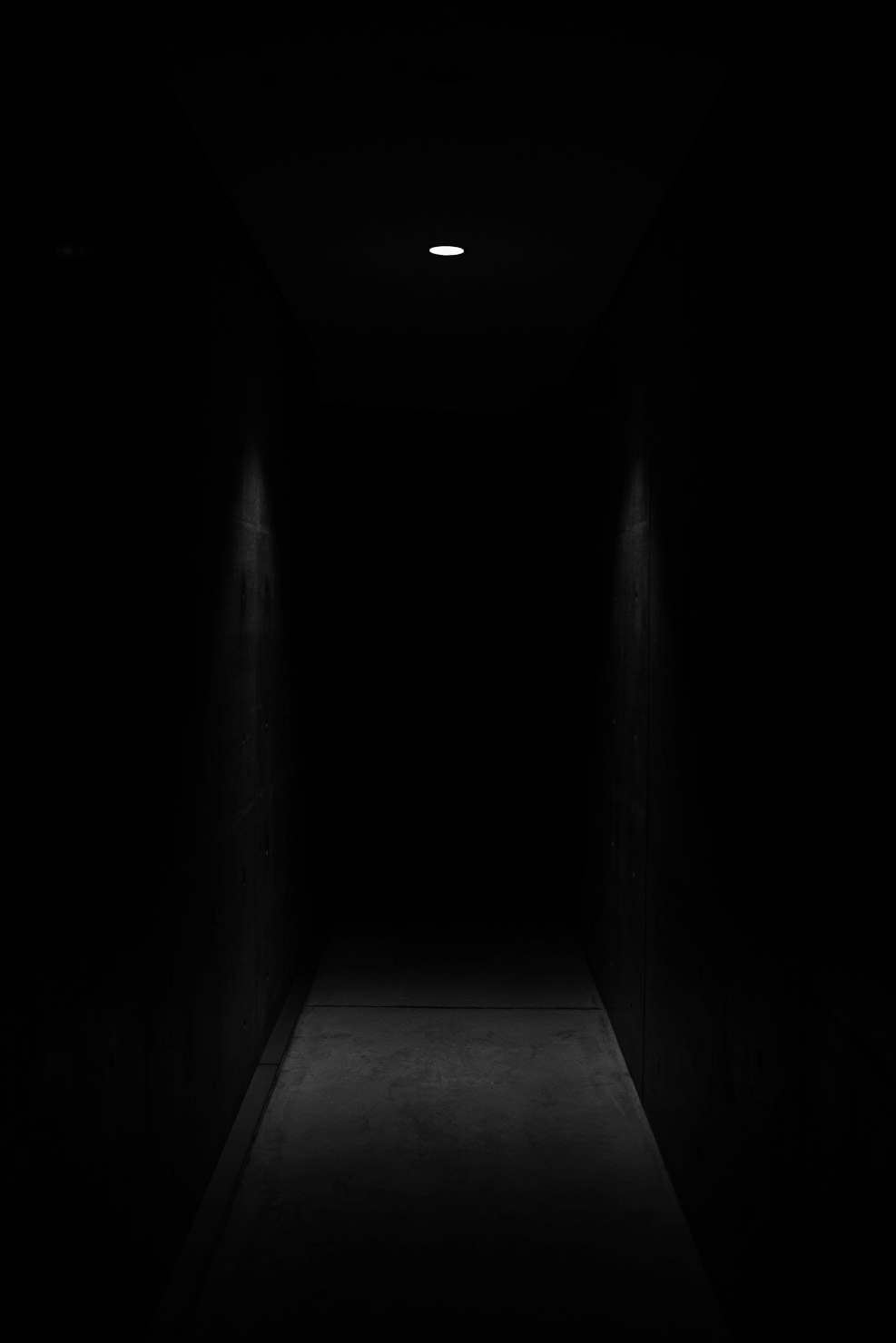 d9a7e2f05ce0ad4de7ebdb09dd1849fd759e9bae61e6910b364d6c9d89b77ce3.image.jpeg