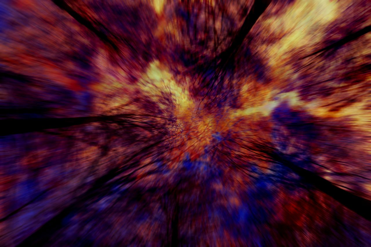 e0120457bb32546684029a760637999d627355b3f2fbabcbffcc2cc90002e2cb.image.jpeg