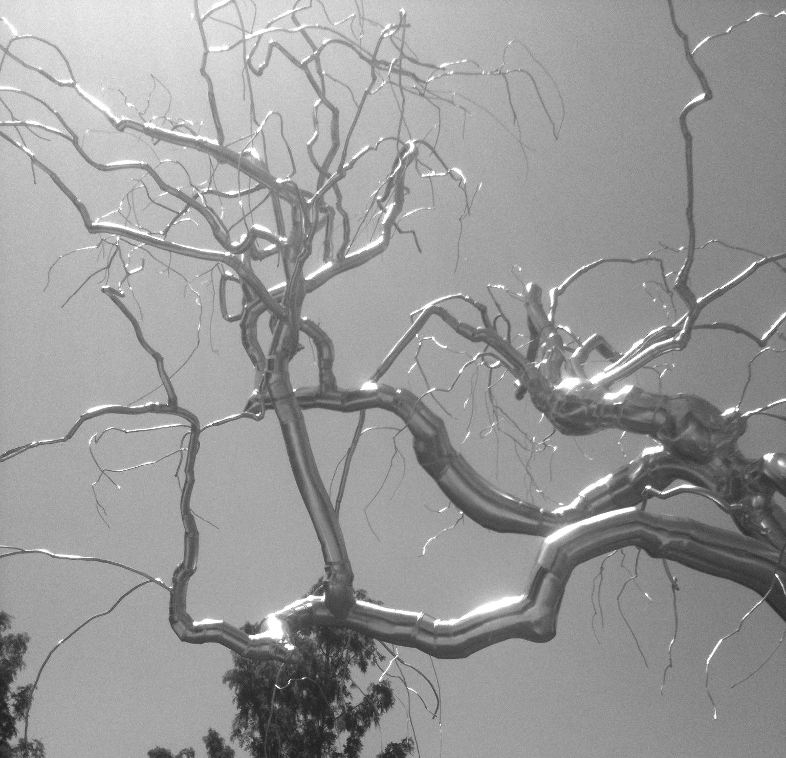 e183fe0bb75131f852d54b2e09553a297ef24ff339a09ea93c713c699cc2dd76.image.jpeg
