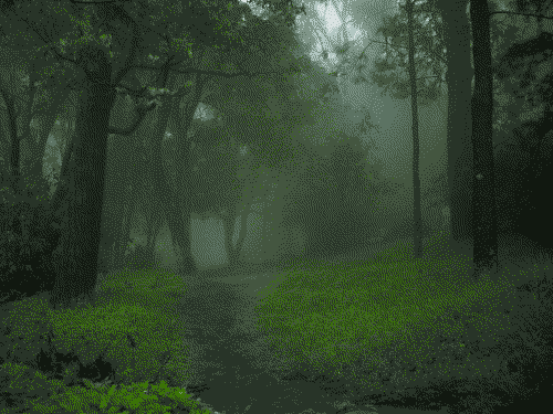 e2f49e6dc29cf2af3362c3b2bf8a481ce208b2cf018da74a2d5e941834571f52.image.png