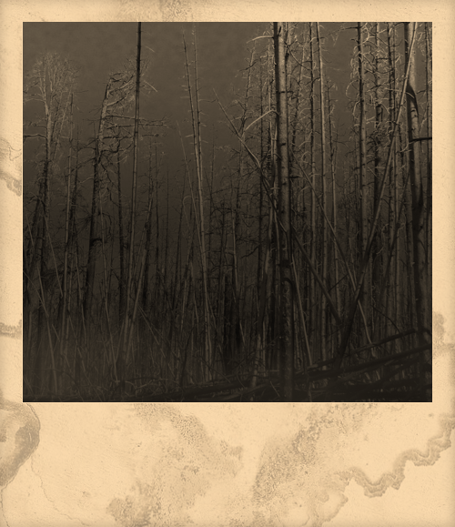 eca5f3169cde8042e9f193d272122035e1f51668cc4bf85abf7f12dd35e02352.image.png