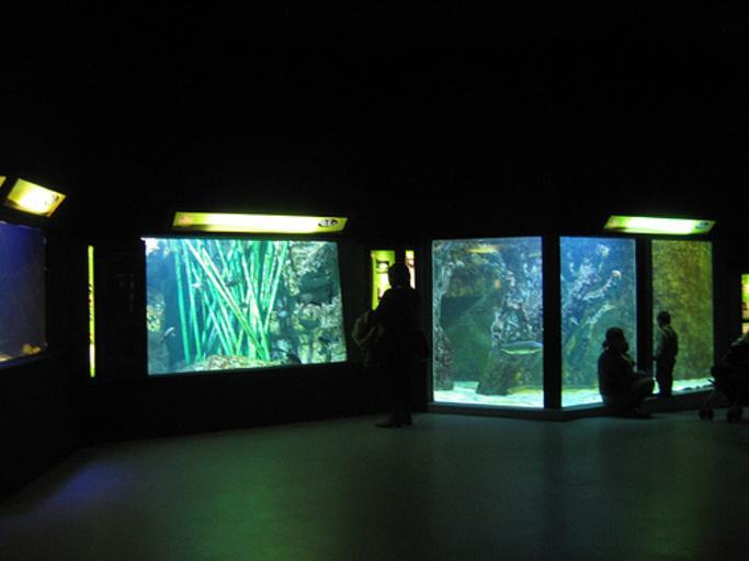 ed5e8147a0c7abd2ff671beb63dba84a825c88cc354eda62228c6cede3eb06dd.image.jpeg