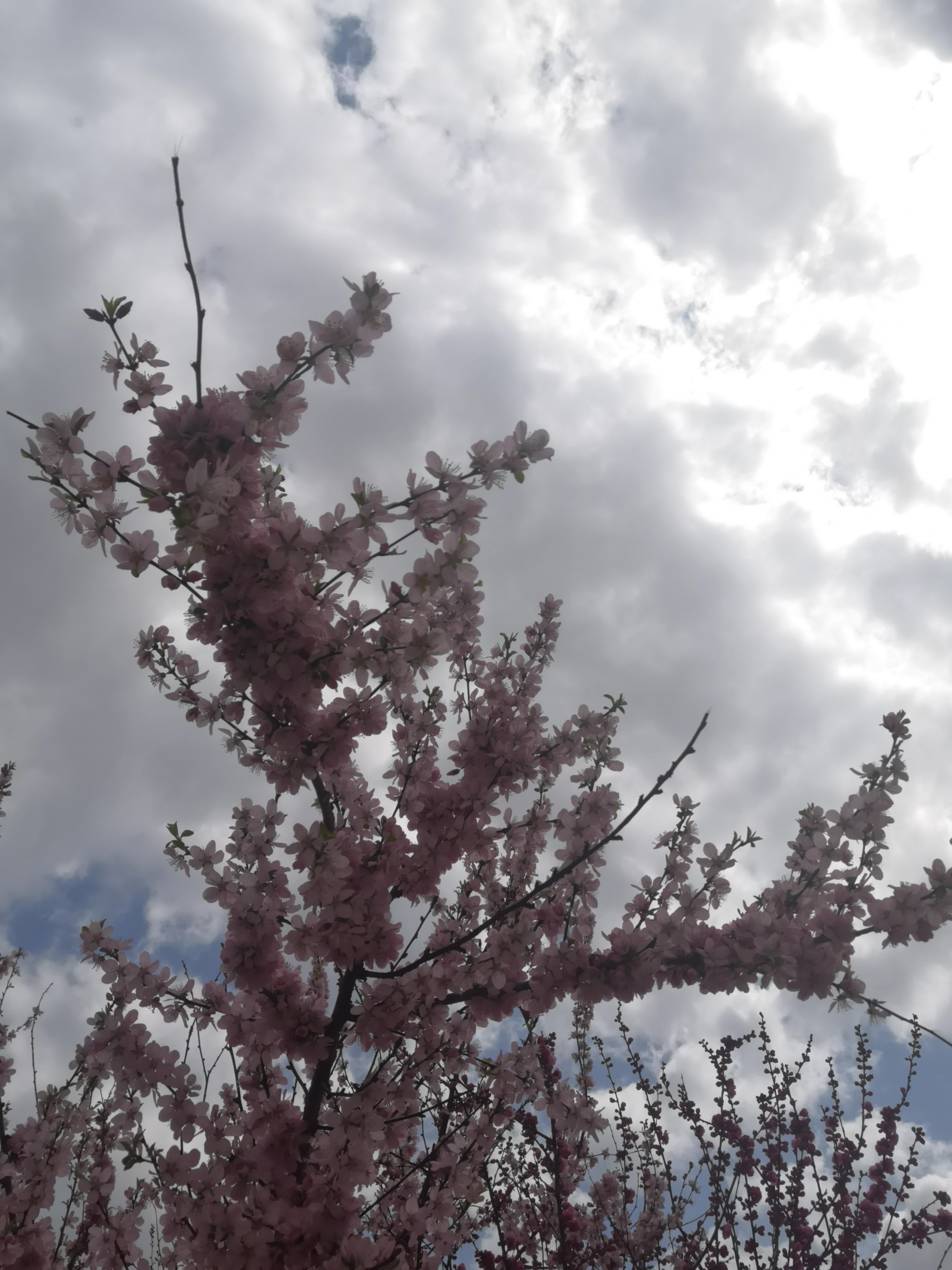 eee4e2b4267f875940730d9c589ddce07c1c6739e5cdb7f981bcca0fe47fd2b6.image.jpeg
