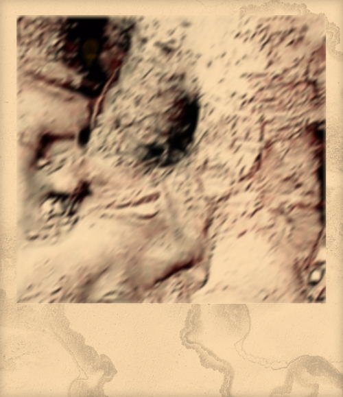 f12acb673477157e91929acd1bd93efd716dd39a9830c1760a6a2c2c1808c669.image.png