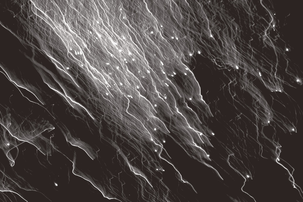 f2a3d0bccd4b632667a9c86a21a5f72d217c9a8fed58c92c781c8549736e70a4.image.jpeg