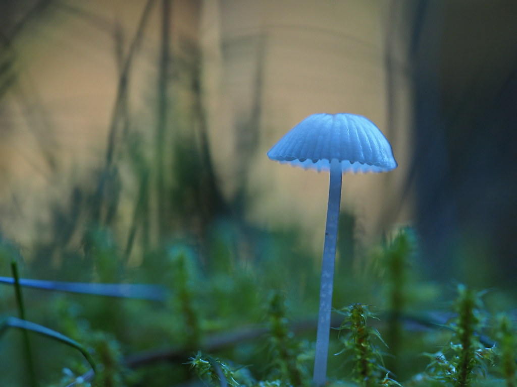 f3a03529220b3f53c5ae2f93a58fc110efd9523f2bf6400e200a7a40351634e4.image.png