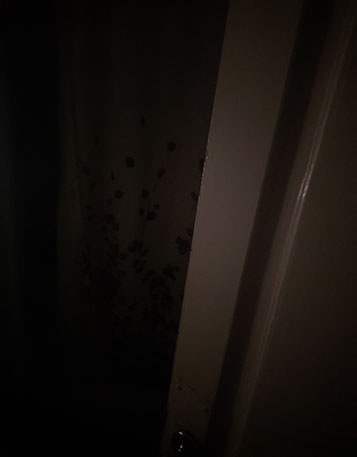 f3c1e684ff609294c300554f3497b6a129e81443893cef19bb3fecc5cbd911ce.image.jpeg