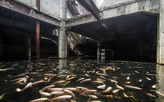 f4c1bdedecc66076713a0c8ea5d42065835809d9f17f6d9cf364c094735a9da6.image.jpeg