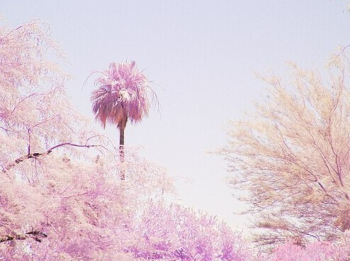 f5410fa0b5d25ac6aefd9a90f1a387baf89cd6a7dcc72fa553b45d4bd82cfca9.image.jpeg