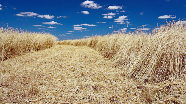 f5a22a728b50f735ba5bc6d826aadddad67cc0fc1c1c2cc214dbab4826193906.image.png