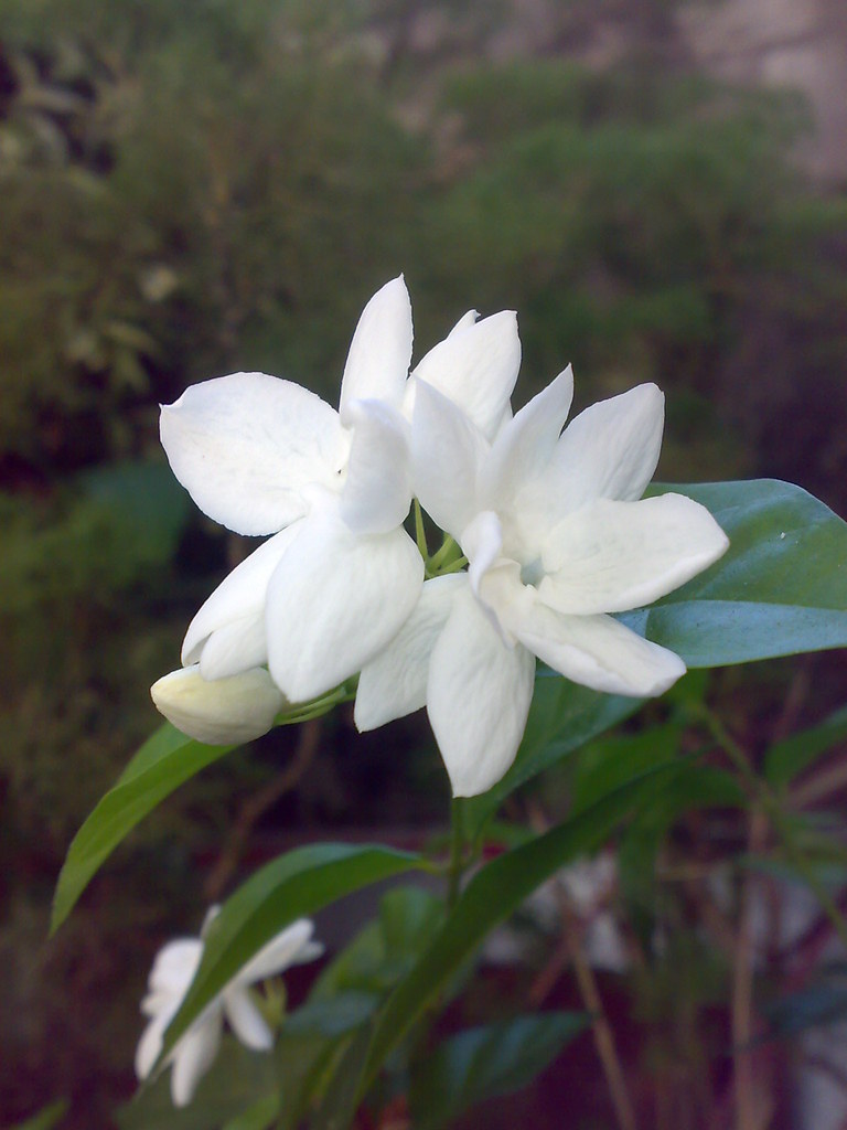 f6570194b80fd7d7c5c4cf88aecd1db53b0223cd5fecf234365ad8ce4a225a97.image.jpeg
