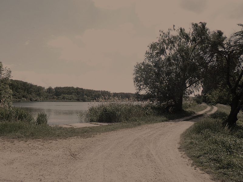 f81a983aceb72a8bef6500a1493e440609f3f01b8e9f934f41331198d6233c29.image.jpeg