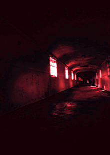 f899b8ed7f2089445c50d1886a92f823f5e5155236e42c2bea654fafa96f7803.image.png