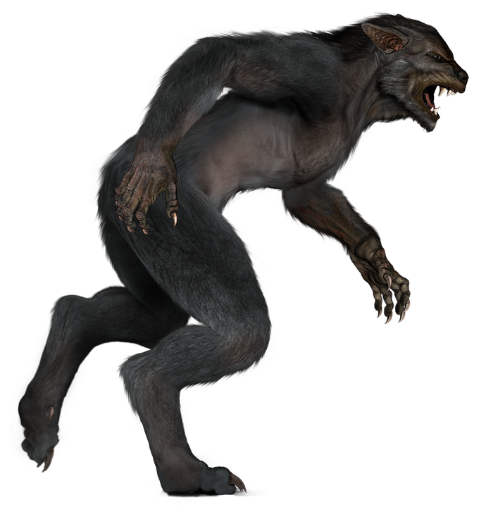 fc2e67776a6e20371b7f4ebf156cc51f8ae2b56ec4e904c364fa7ea1b2a60af2.image.png
