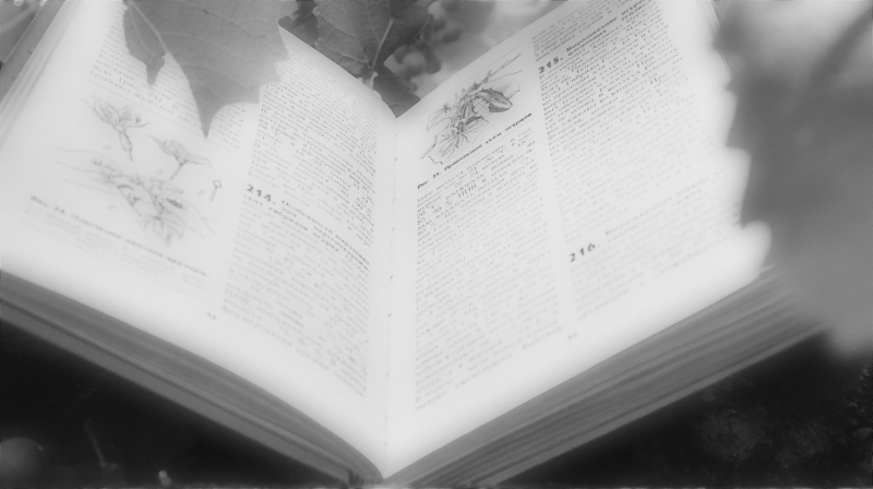 fd318bc1db7ba34b69ab3c0b1c6bdc18013c29301b95a8ac84b18eed569f1b07.image.png